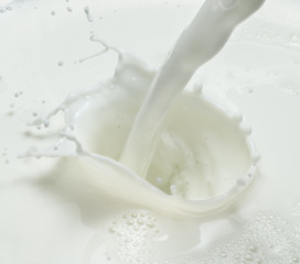 Fototapeta na wymiar Pouring milk and milk splash. Close-up.