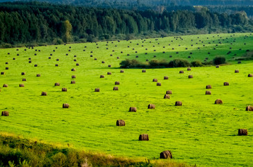 Fototapeta na wymiar Bales of hay on the field, haystacks