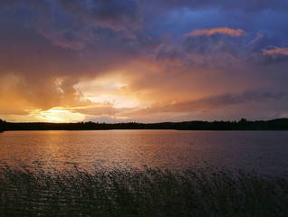 Fototapeta na wymiar Beautiful sunset by the lake. Silhouette grass. Colorful sky.