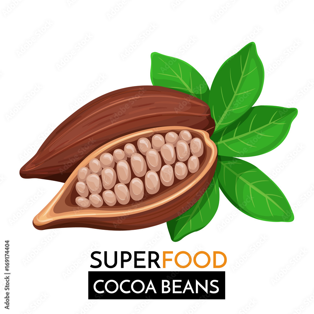 Wall mural Cocoa beans vector icon. - Wall murals