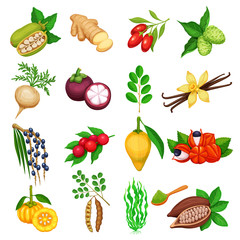 Vector superfood icons set.