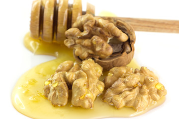 Noci nel miele con dosatore