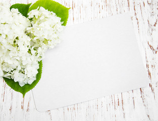 white hydrangea with card