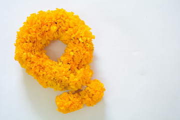 Marigold steering wheel, white background