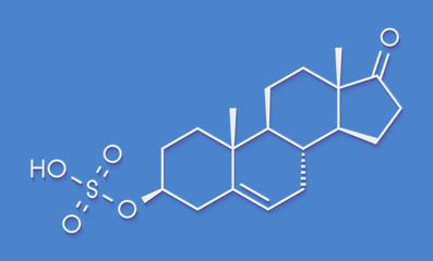 Dehydroepiandrosterone sulfate (DHEA-S) natural hormone molecule. Skeletal formula.