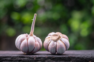 Fresh garlic on rustic wood and bokeh background