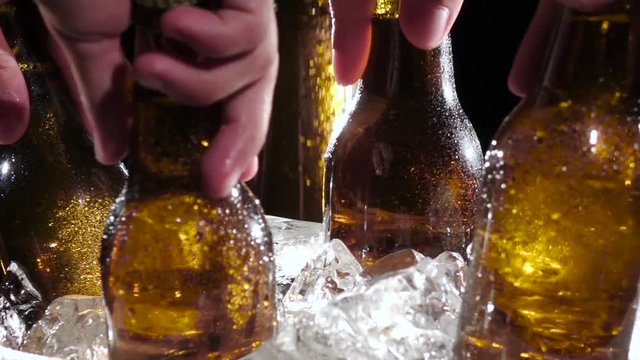 Company of friends pulls out bottles of beer from the ice. Black background. Close up