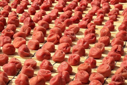 梅干し作り、天日干し