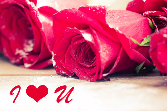 red roses close up