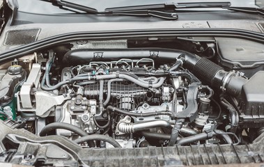 Fototapeta premium Modern turbocharged diesel engine.