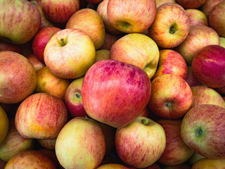 Ripe beautiful apples