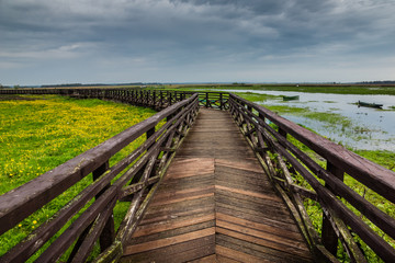 Footbridge on the Narew river in Narew National Park near Waniewo village, Podlasie, Poland