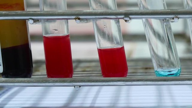 Close up blood in testube blood group testing concept.