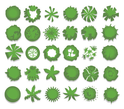 Set of different green trees, shrubs, hedges. Top view for landscape design projects. Vector illustration, isolated on white background.