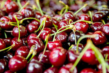 Ripe red cherries put up for sale on the market