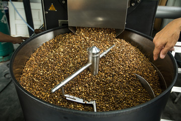 Freshly roasted coffee beans in professional roasting machine