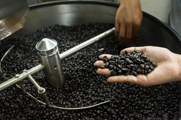At coffee factory. Freshly roasted coffee beans in professional roasting machine