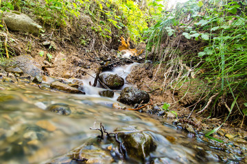 Water in a creek in the nature