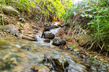 Naklejka na ściany i meble Water in a creek in the nature