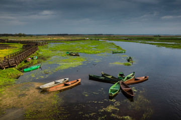 Old boats on the Narew river in Narew National Park near Waniewo village, Podlasie, Poland