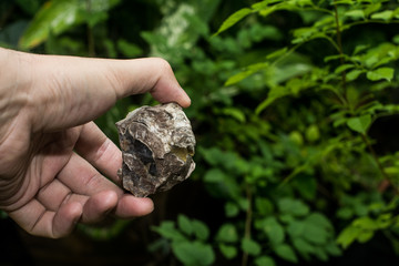 Pick a natural mineral stone, Brown stone