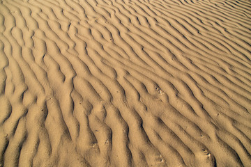 Sand in the desert as a background