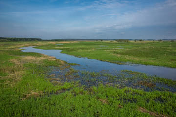 Narew river in Narew National Park near Uhowo village, Podlasie, Poland