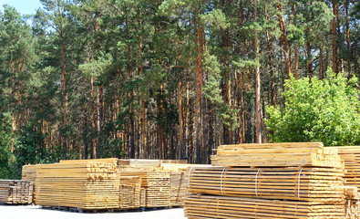 Wooden boards stacked in stacks. Green pine forest in the background