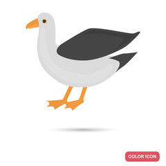 Seagull color flat icon for web and mobile design