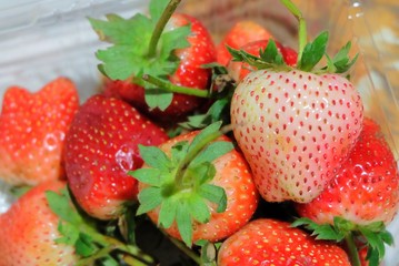 Close Up of Fresh and Sweet Strawberry