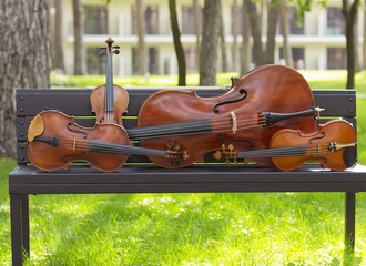 String Quartet. Cello. Viola. Violin. Live music. Concert in the forest

