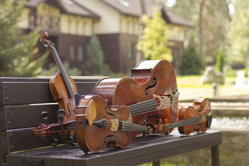 String Quartet. Cello. Viola. Violin. Live music. Concert in the forest
