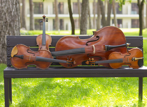 String Quartet. Cello. Viola. Violin. Live music. Concert in the forest
