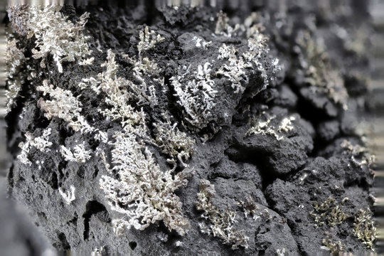 close up of dignified silver from Pöhla (Ore Mountains / Germany)