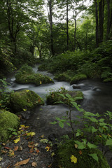 Fototapeta na wymiar Kitanizawa mountain stream / In the middle of beautiful mountain landscape