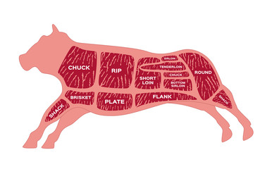 Cut of beef . Butcher diagram Cow vector