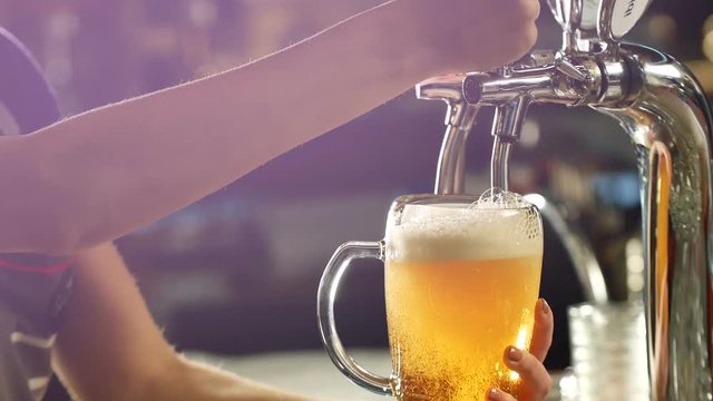 Craft beer poured into a glass.