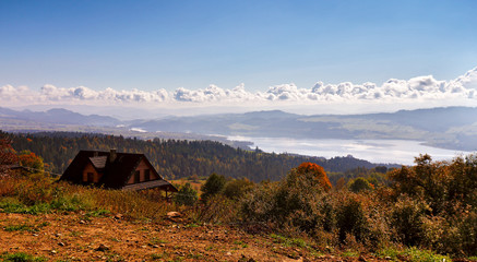 Beautiful orange and red autumn forest panorama