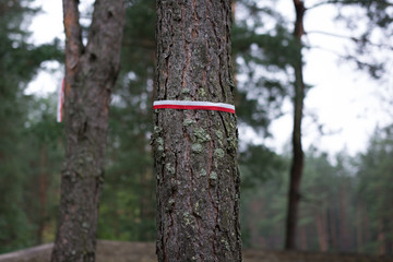 Poland flag ribbon, memorial site
