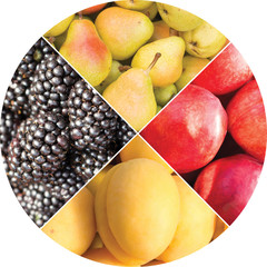 Collage of fruits and berries in the form of a  circle