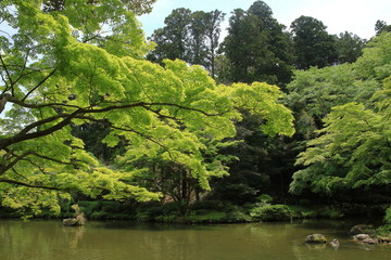 Fototapeta na wymiar 成田山公園の池