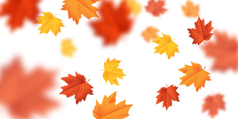 vector blurred falling leaves with wind isolated in white background.