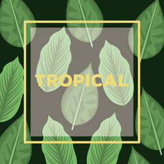 black card background with decorative leaves plants pattern and square frame tropical text vector illustration