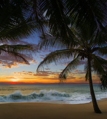 Fototapeta premium Sunset Beach with palm trees and beautiful sky.