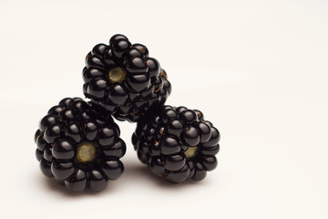 Blackberries on white background