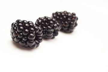 Blackberries on white background