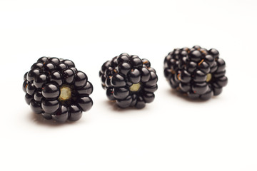 Blackberries on white background