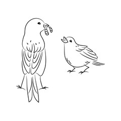 vector black white contour simple illustration of sparrow bird