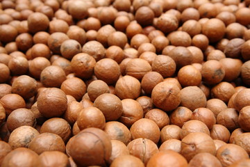 Macadamia Nuts in Guatemala