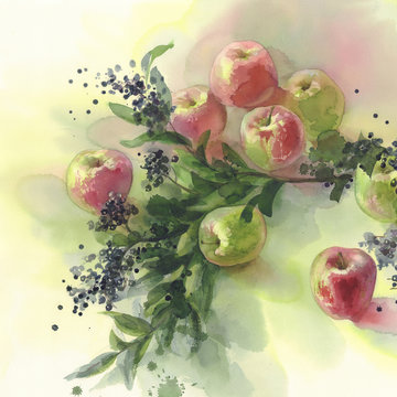 red and green apples watercolor background